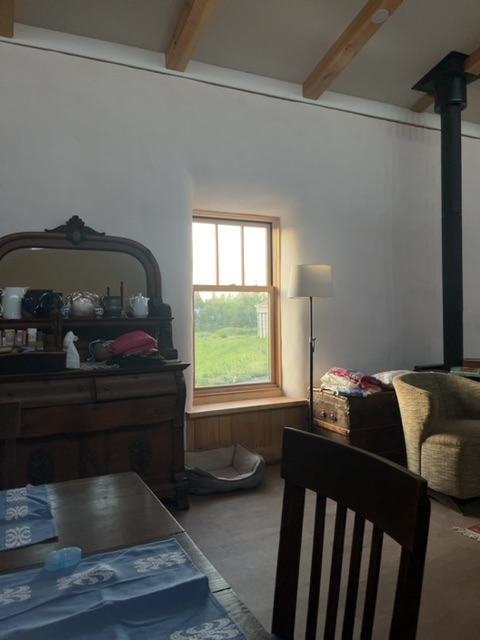 Cow TV